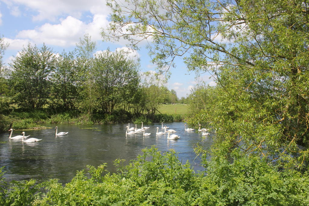Hotel The Swan At Stoford Stapleford  Esterno foto