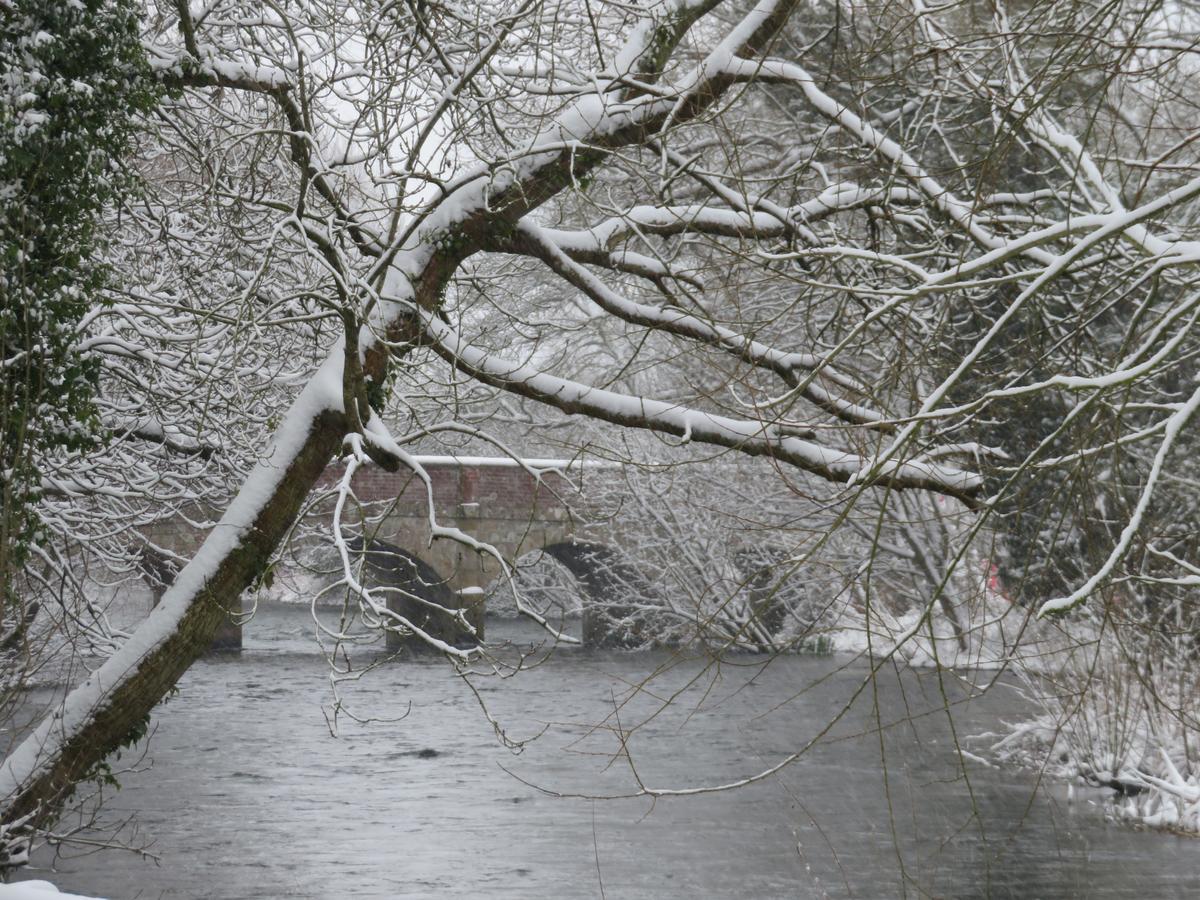 Hotel The Swan At Stoford Stapleford  Esterno foto